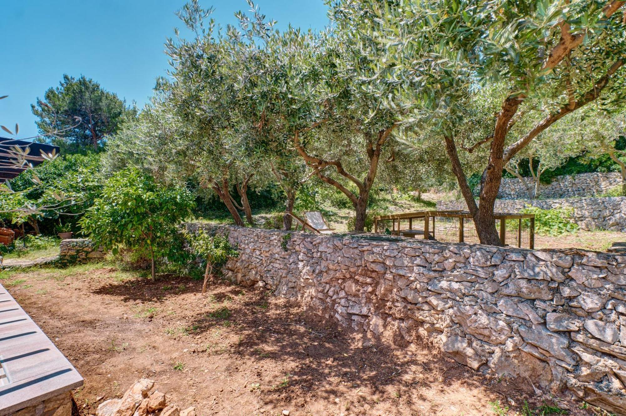 Providenca Accommodation Mali Lošinj Eksteriør bilde